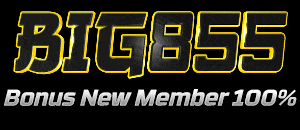 Logo BIG855
